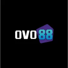 Aplikasi ovo88 Terbaru dengan Fitur Terbaik